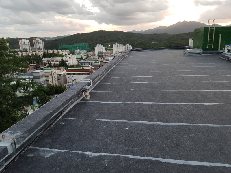 20180817_190554.jpg