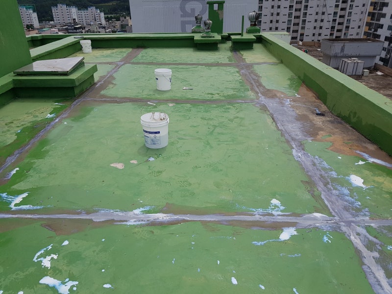 20180722_142541.jpg